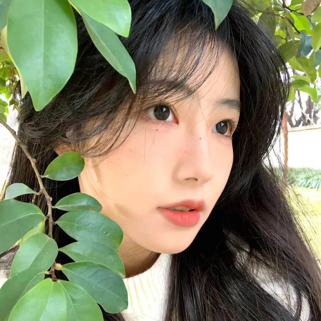 写不得夏娃
